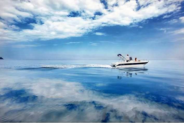 Allegra All 19 open nuova