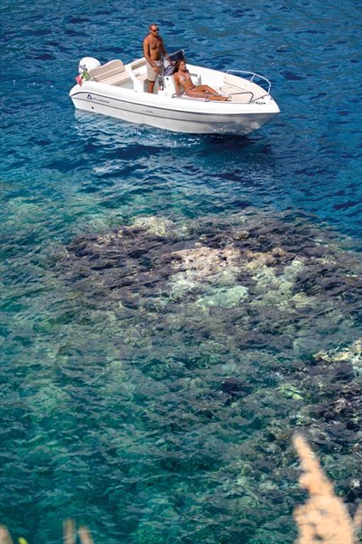 Allegra All 530 open nuova