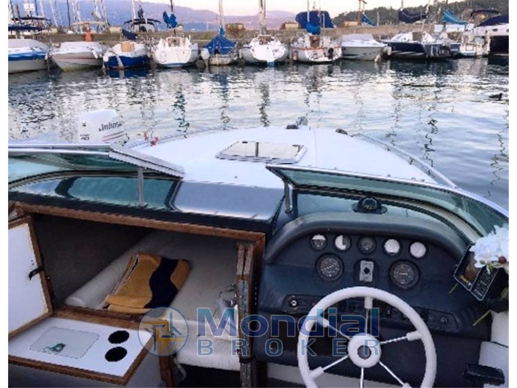 Sea ray 220 ov