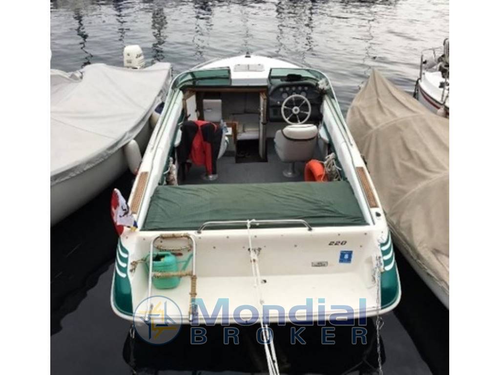 Sea ray 220 ov