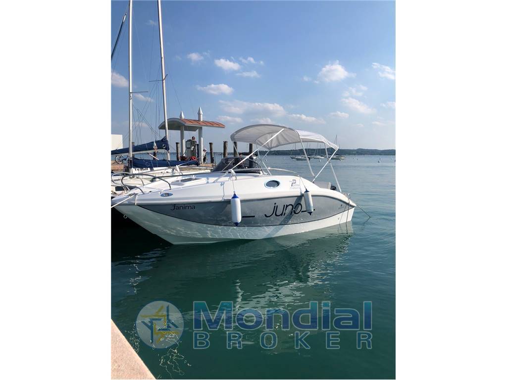 Noleggio rent charter Juno 590 - con patente