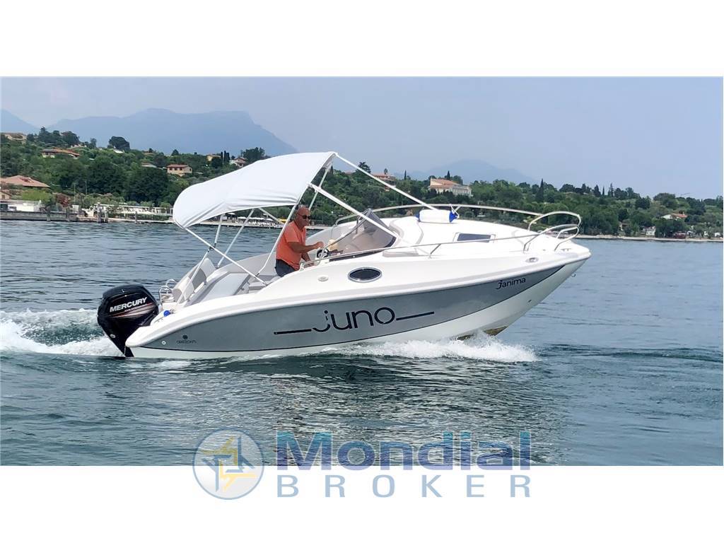 Noleggio rent charter Juno 590 - con patente