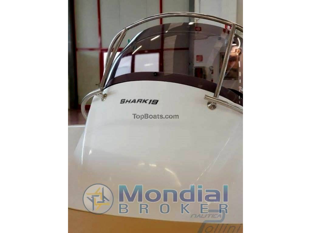 Ranieri Shark 19 (new - pronta consegna)+suzuki