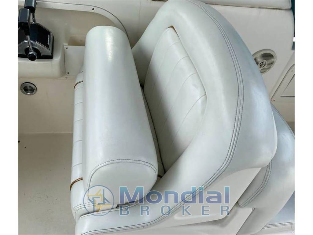 Sea ray Sundancer 290