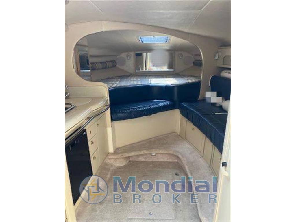 Sea ray Sundancer 290