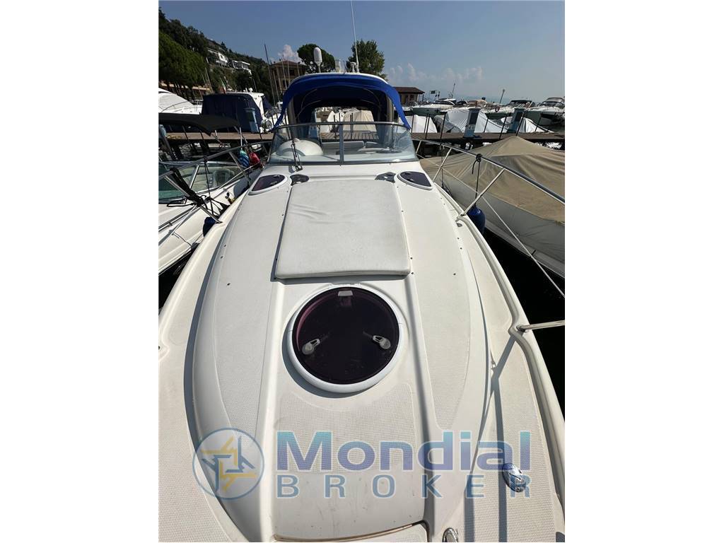 Bavaria Sport 29