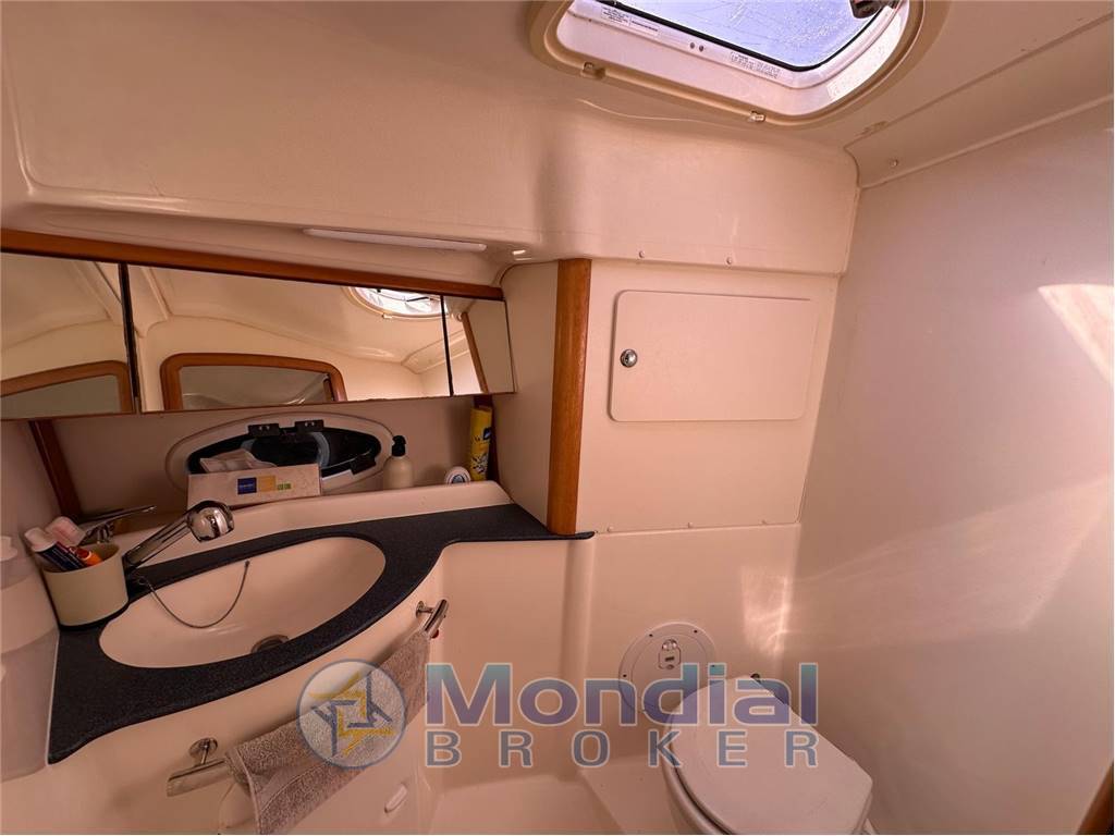 Bavaria Sport 29