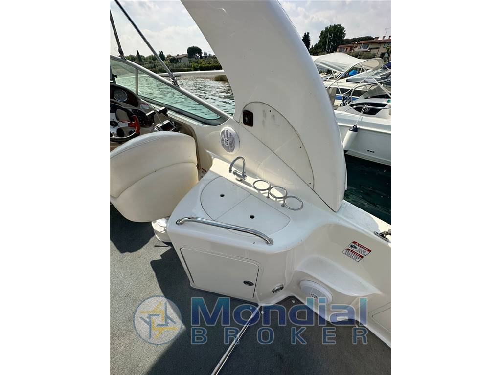 Sea ray 315 sundancer