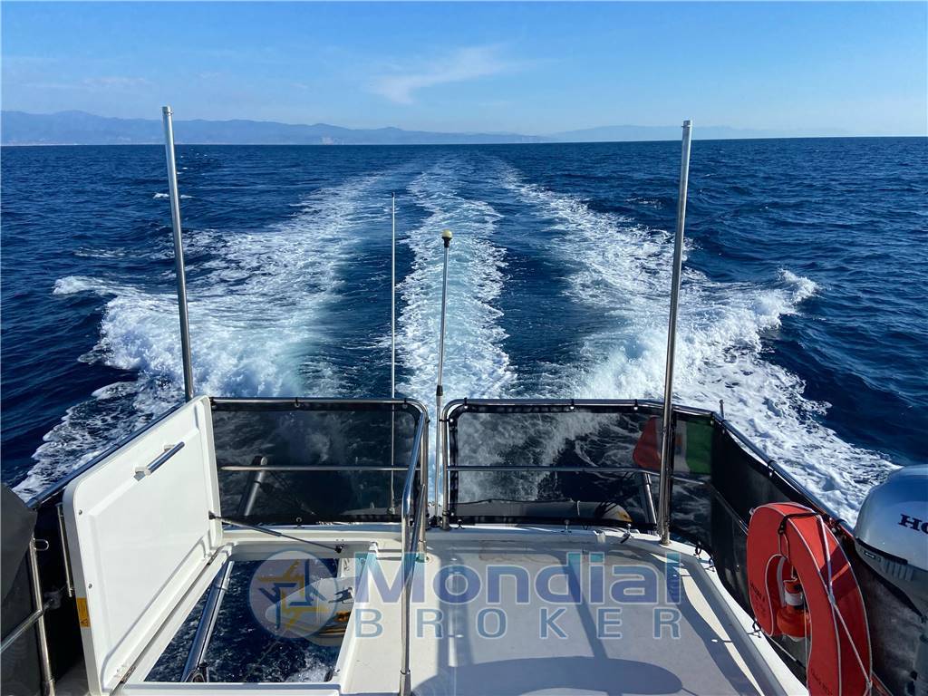 Beneteau Swift trawler 30 - flybridge