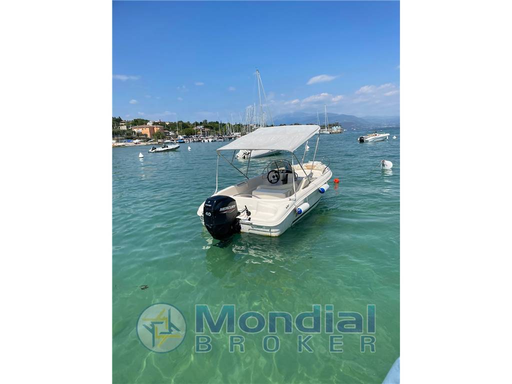 Ranieri Shark 17