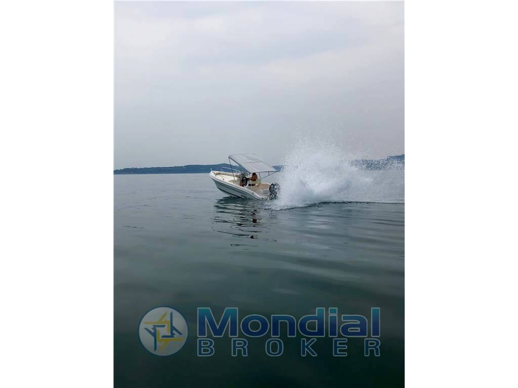 Ranieri Shark 17