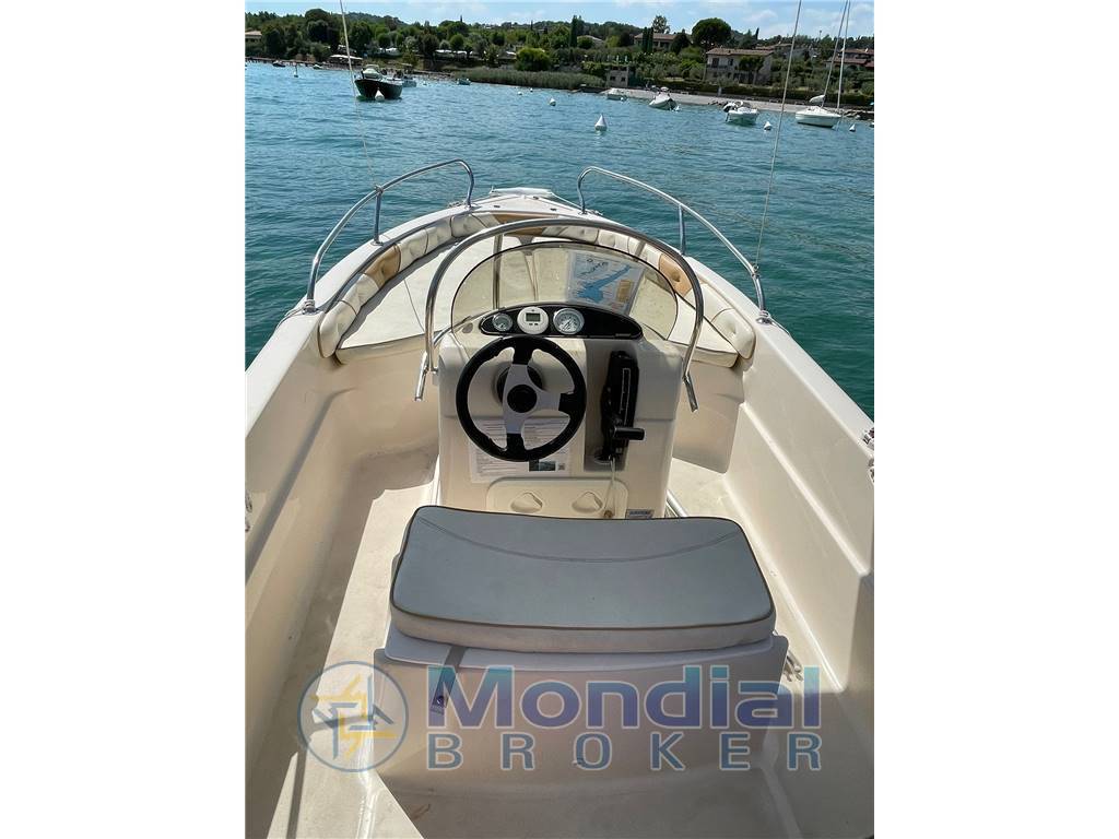 Ranieri Shark 17