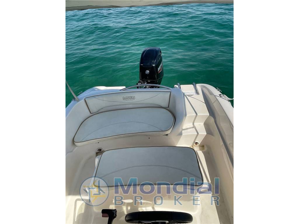 Ranieri Shark 17