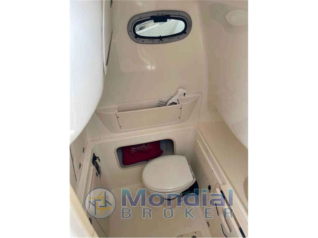 Boston whaler 320 outrage cuddy natante