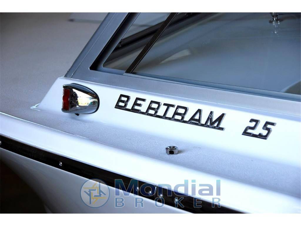 Bertram yacht 25' ht