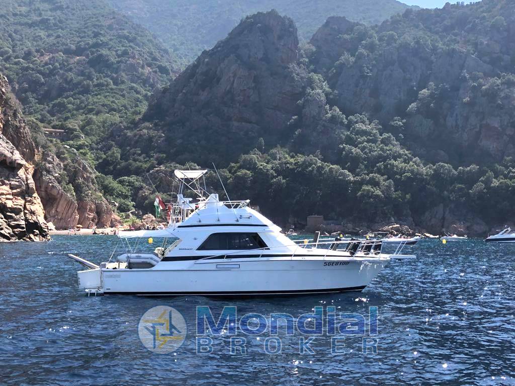 Bertram yacht 37' convertible