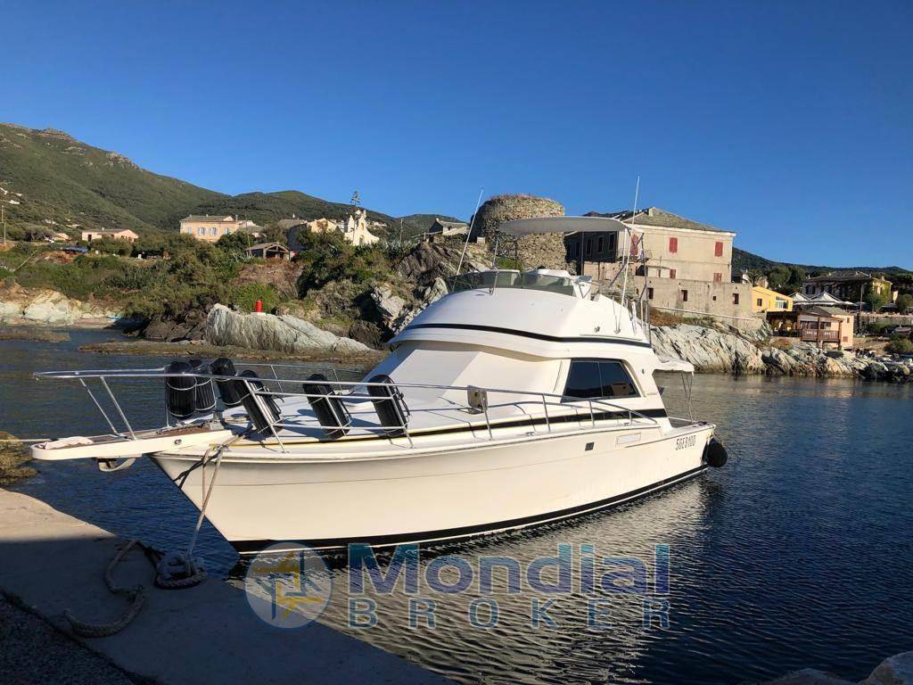 Bertram yacht 37' convertible