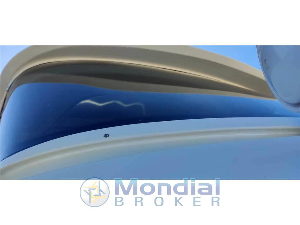 Mochi craft Mochi 51 dolphin