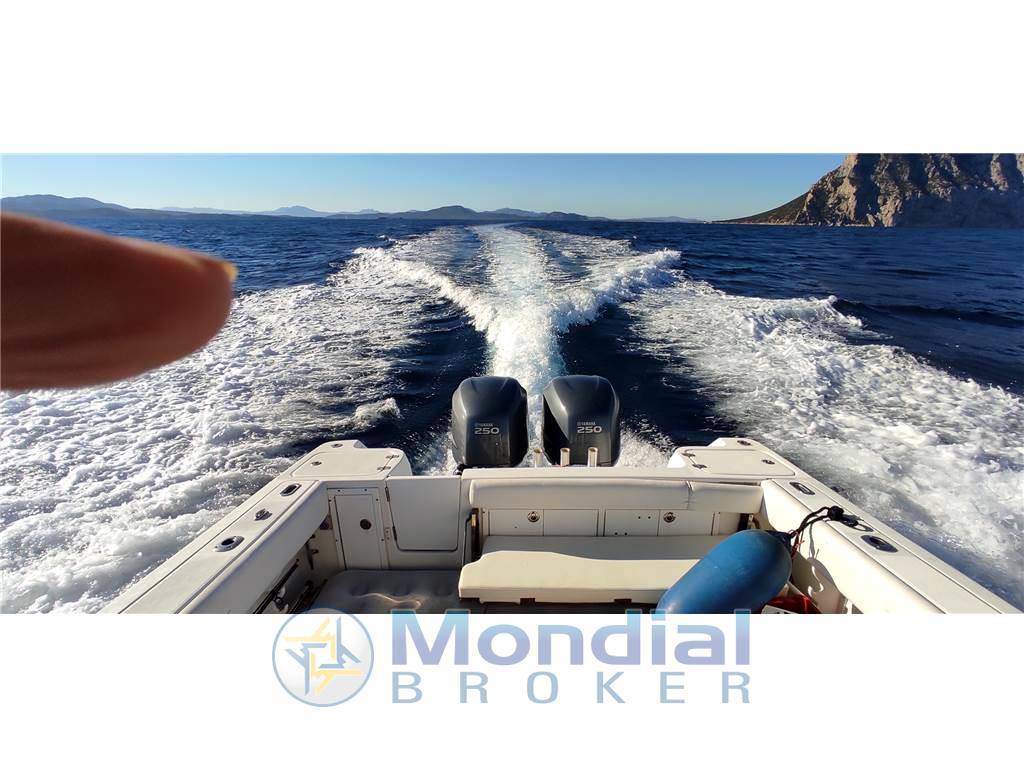 Edge water 265 ex