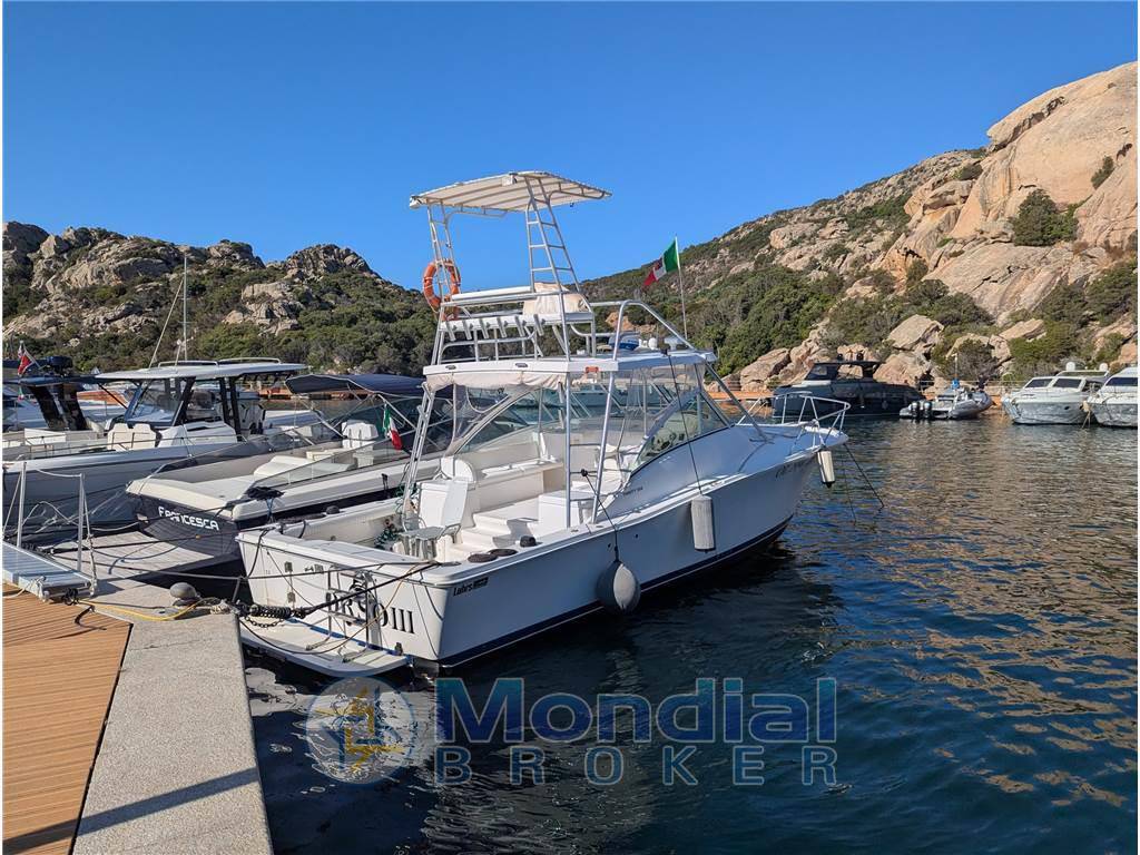 Luhrs 36 open