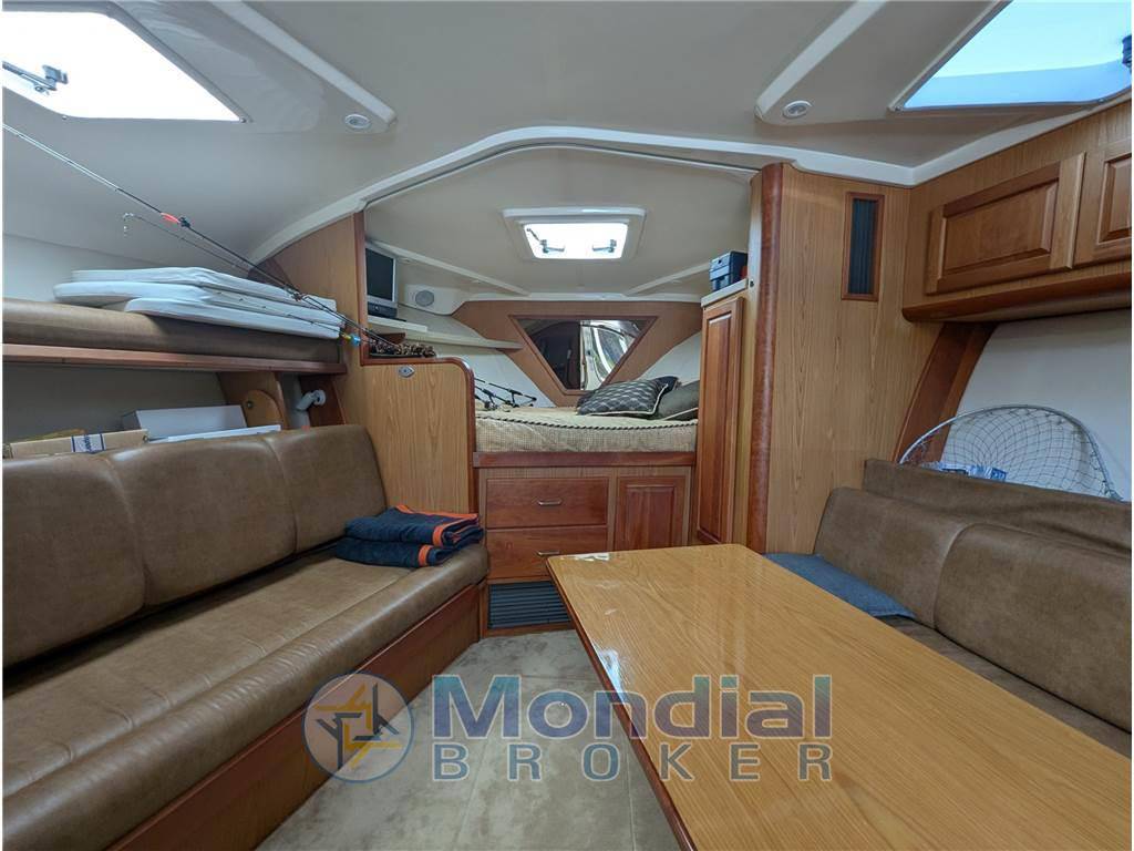 Luhrs 36 open