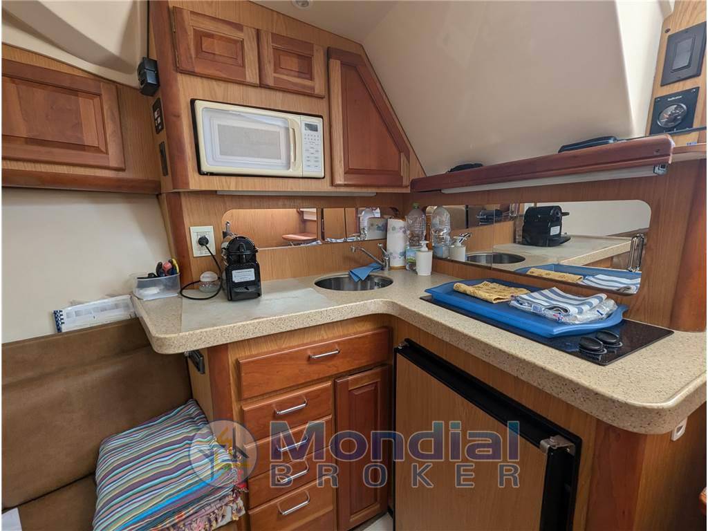 Luhrs 36 open