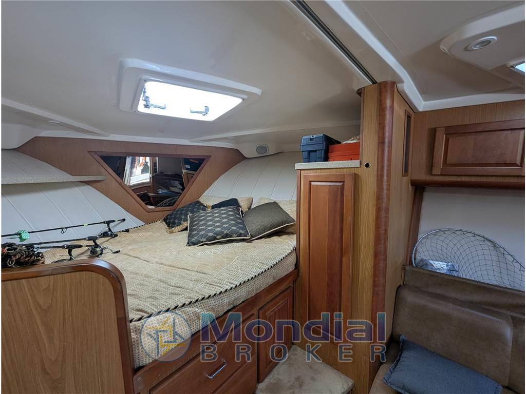 Luhrs 36 open