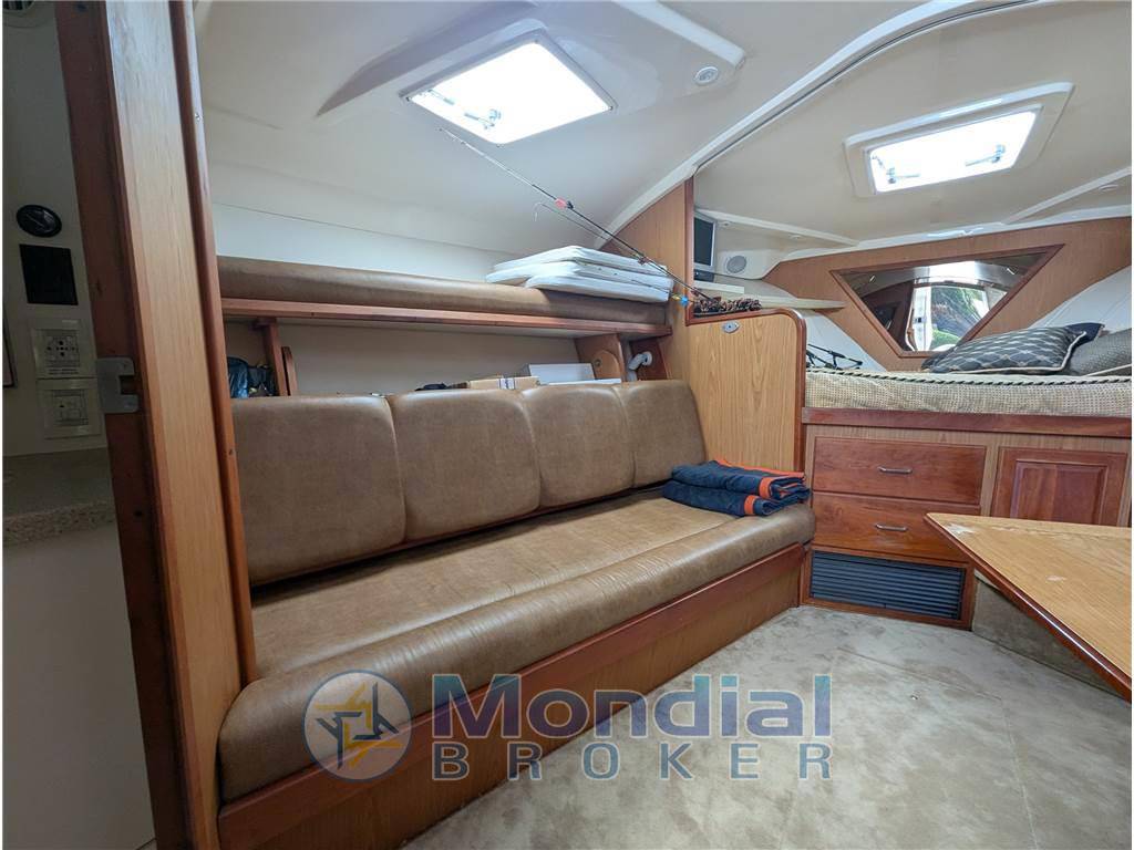 Luhrs 36 open