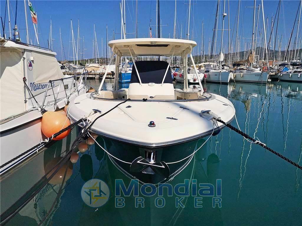 Pursuit S 310 sport