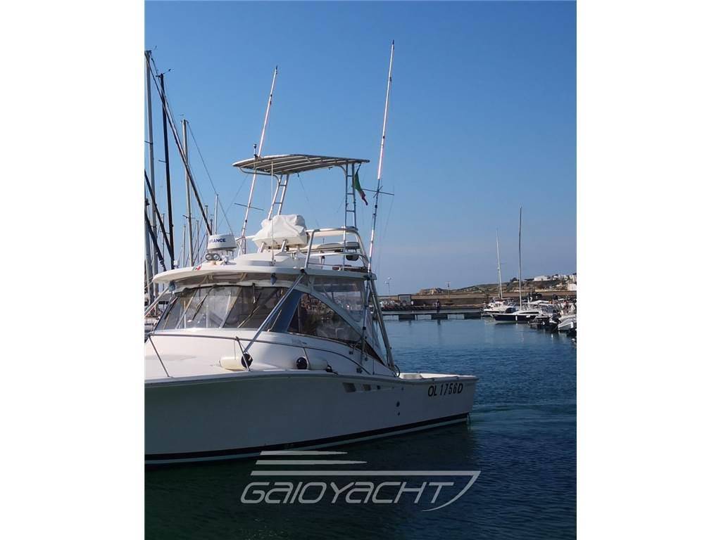 Luhrs 320 fisherman