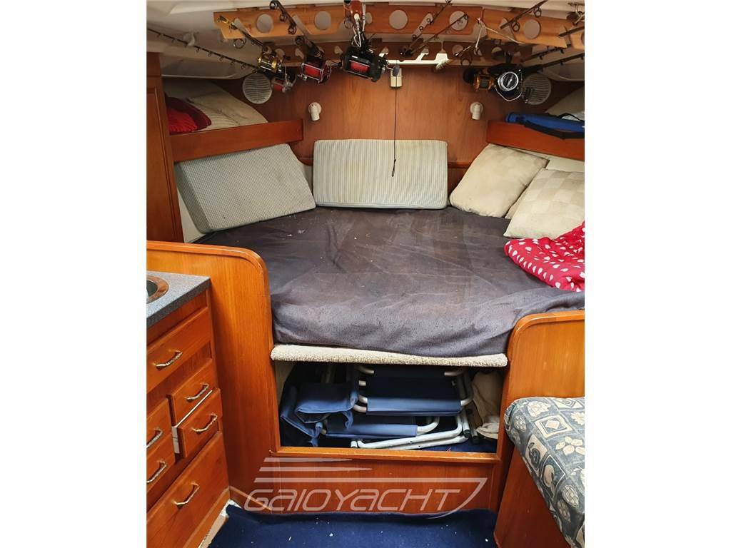 Luhrs 320 fisherman