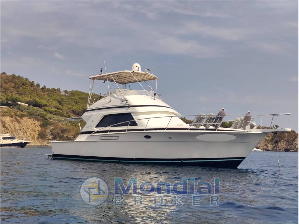 Bertram 43 convertible