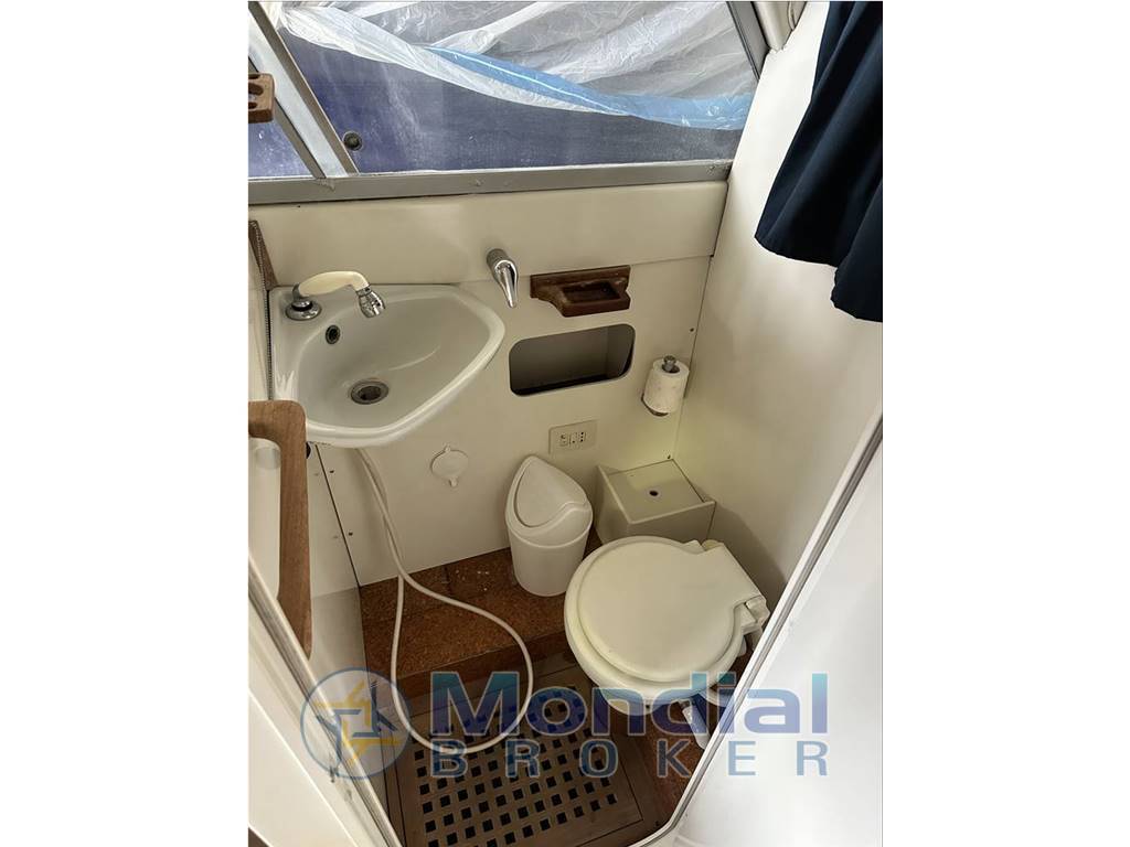 Bertram usa 31 flybridge cruiser