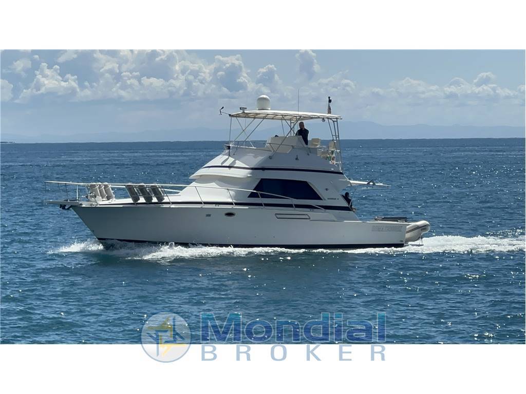 Bertram 43 convertible