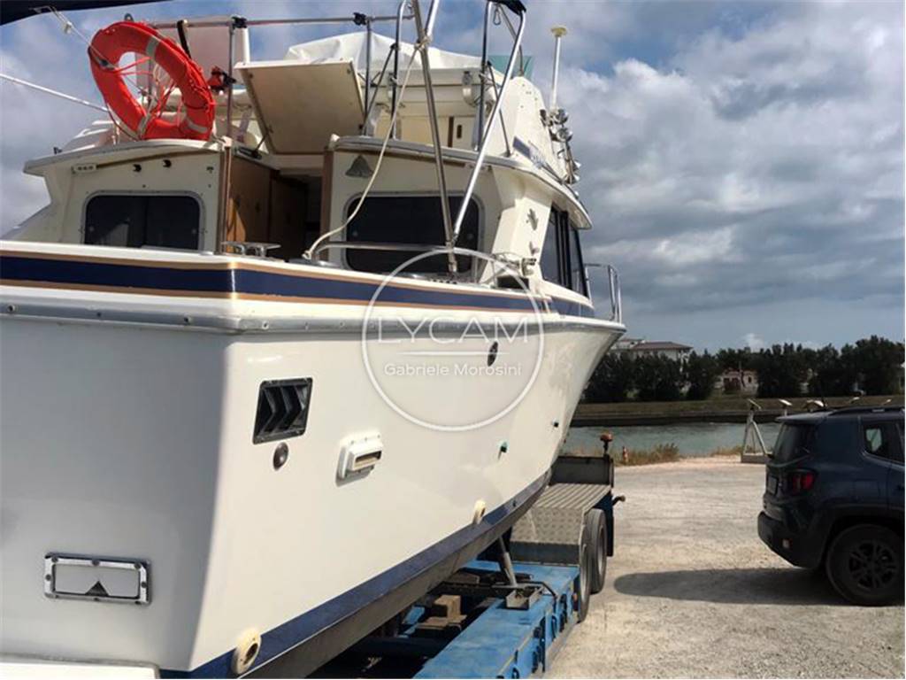 Bertram 28 fly