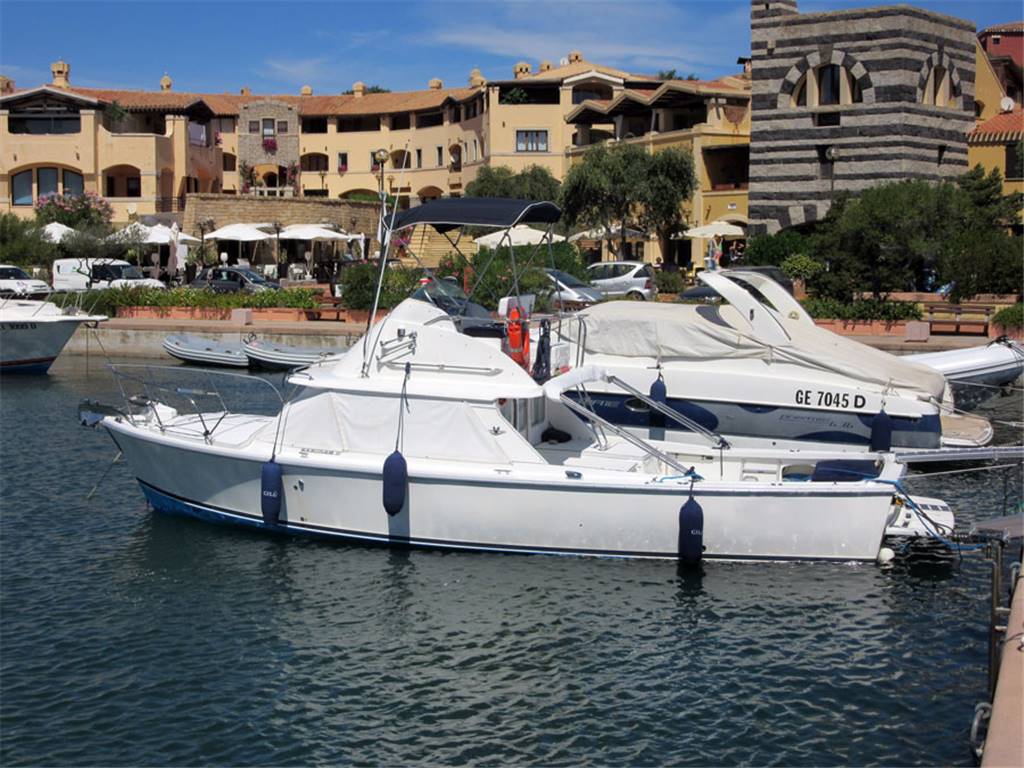 Bertram 31