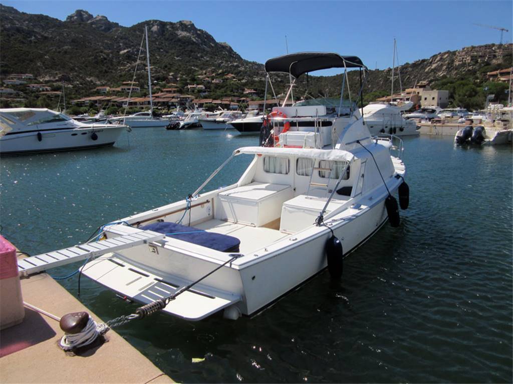 Bertram 31
