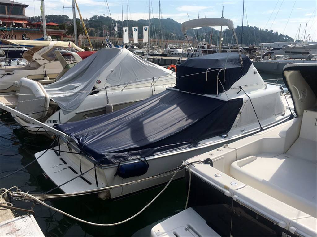 Bertram 31