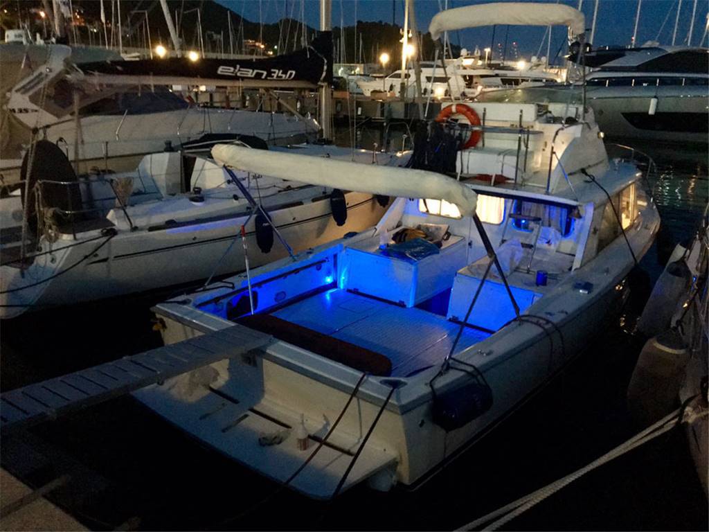 Bertram 31