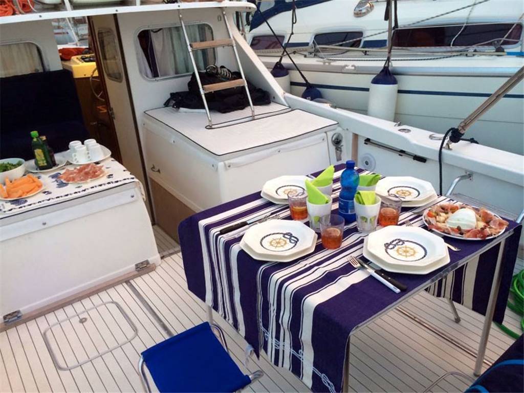 Bertram 31