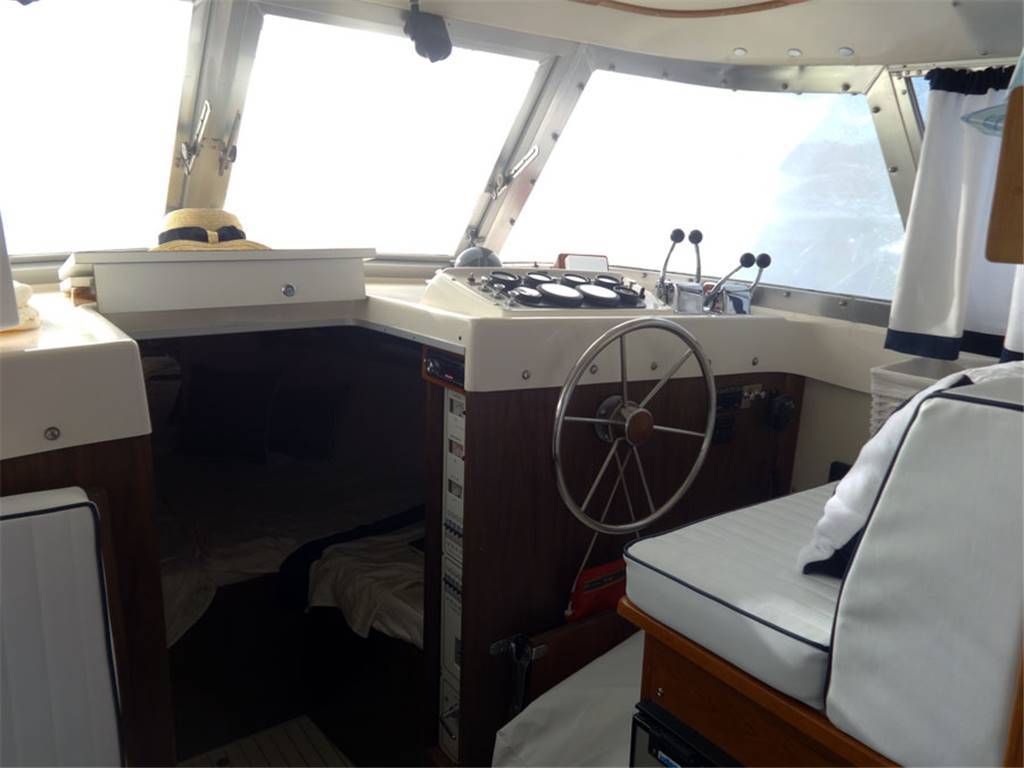 Bertram 31