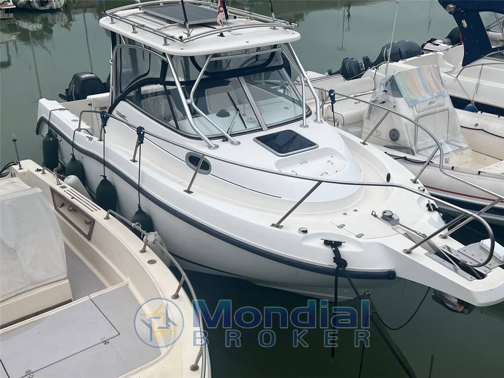Boston whaler Conquest 255