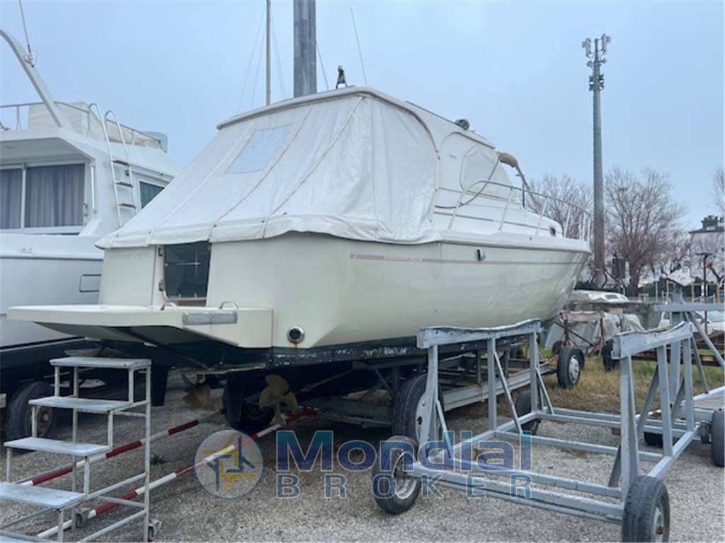 Cnnt Nova ventura 39