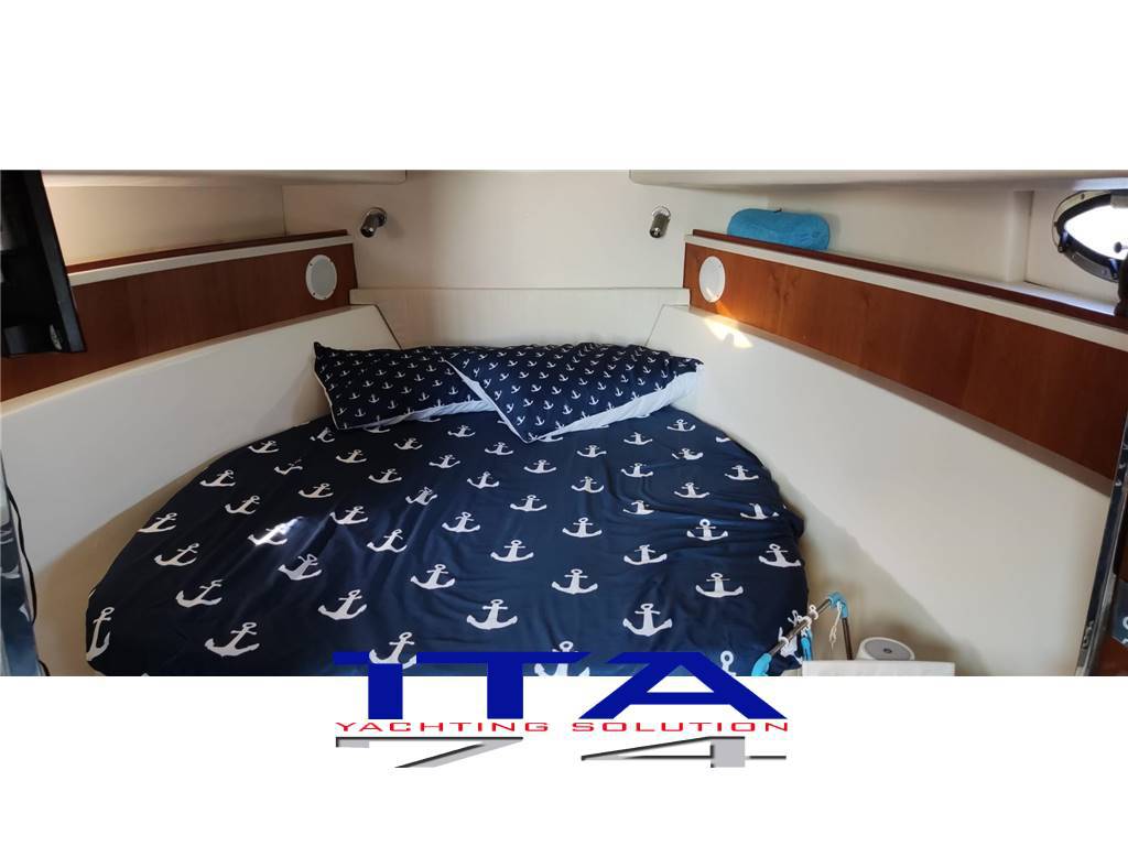 Sea star jacare Sea star 30