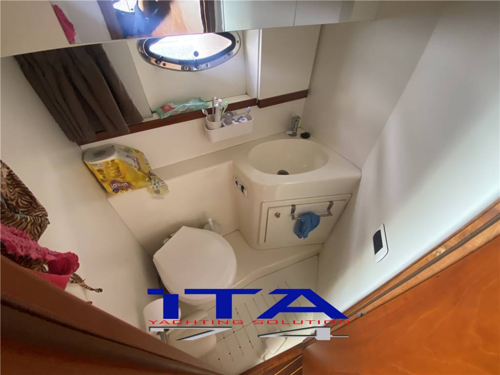 Sea star jacare Sea star 30