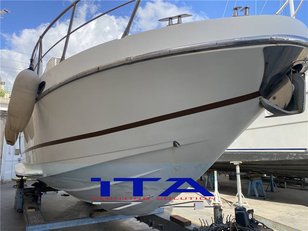 Sea star jacare Sea star 30