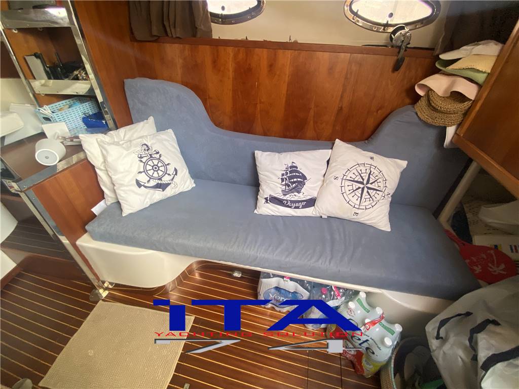 Sea star jacare Sea star 30