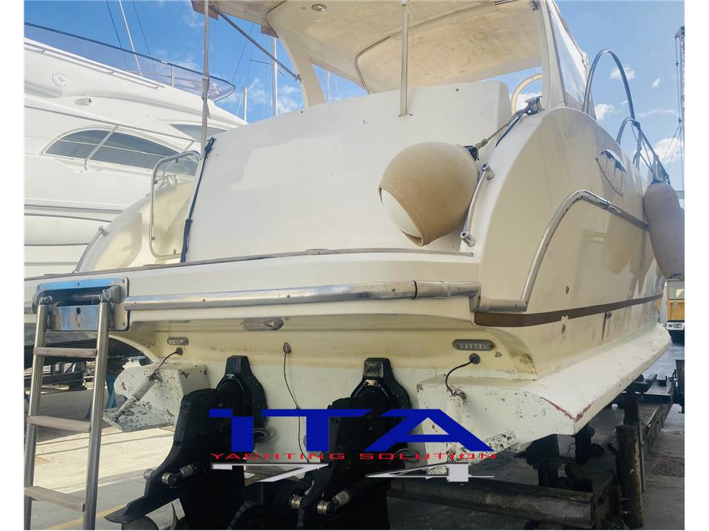 Sea star jacare Sea star 30