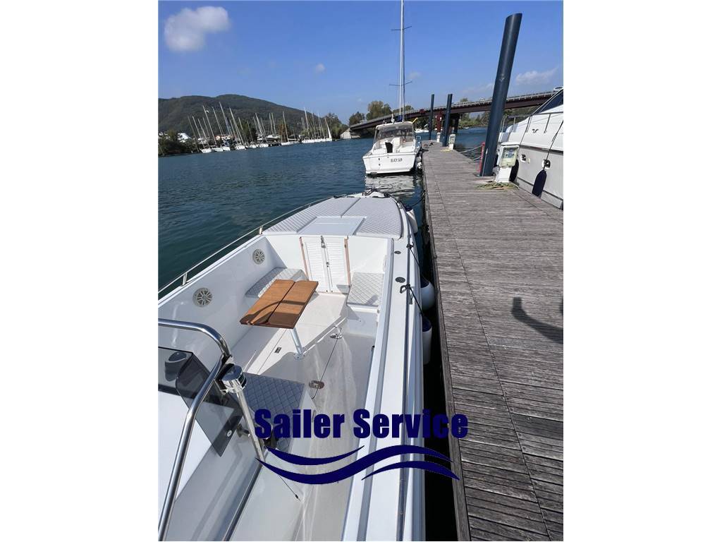 Wellkraft Scarab 30s