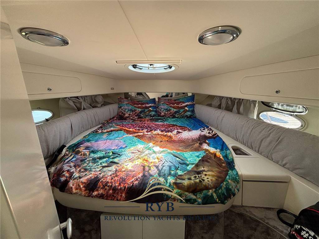 Cranchi Smeraldo 36